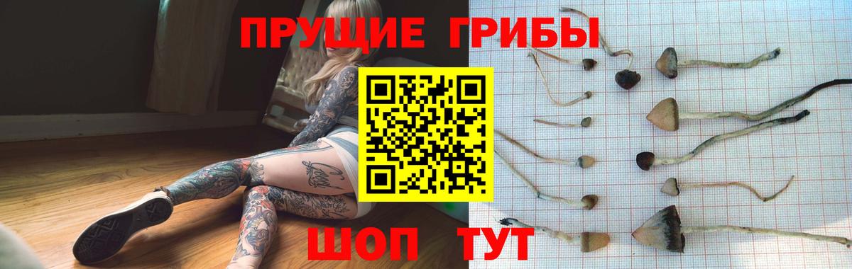 Галлюциногенные грибы ЛСД  Псилоцибиновые грибы мухоморы  Вход с VPN  Ярославль 